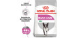 ROYAL CANIN CCN Mini Relax Care karma sucha dla psów dorosłych, ras małych, narażonych na działanie stresu
