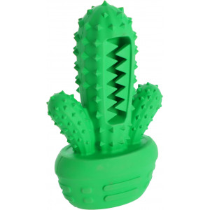 DINGO Kaktus