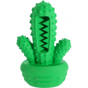 DINGO Kaktus