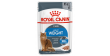 ROYAL CANIN FCN Light Weight Care Loaf karma mokra - pasztet dla kotów dorosłych z tendencją do nadwagi 85g