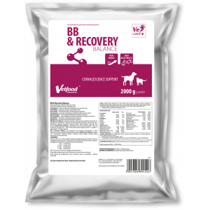 BB & Recovery Balance