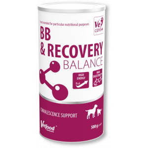 BB & Recovery Balance