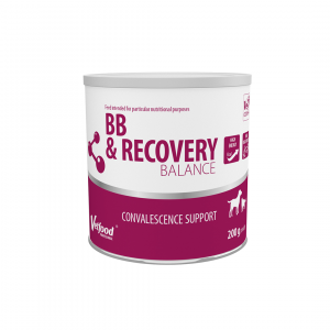 BB & Recovery Balance