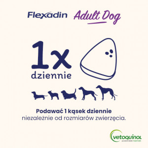 VETOQUINOL Flexadin Adult Dog 60 kąsków