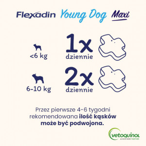 VETOQUINOL Flexadin Young Dog Mini 60 kąsków