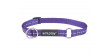 AMIPLAY Obroża półzaciskowa Reflective - Fioletowa