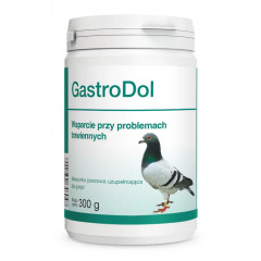 DOLFOS Gastrodol 300g