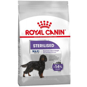 ROYAL CANIN CCN Maxi Sterilised karma sucha dla psów dorosłych ras dużych, sterylizowanych