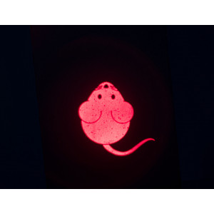 TRIXIE Wskaźnik laserowy LED z motywem myszki USB - 8,5 cm