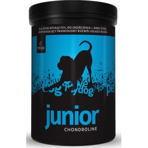 POKUSA ChondroLine Junior 350g - preparat na stawy dla szczeniąt