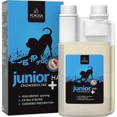 POKUSA ChondroLine JUNIOR + HA 500ml (butelka)