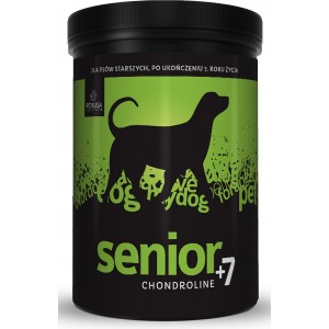 POKUSA ChondroLine Senior 350g - preparat na stawy dla psów seniorów