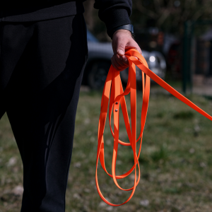 DINGO Smycz Treningowa z rączką Flex - pomarańczowa