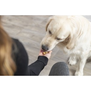 TRIXIE Mata do pieczenia przekąsek w kości 38 x 28 cm - żółty