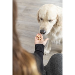 TRIXIE Mata do pieczenia przekąsek w kości 38 x 28 cm - żółty