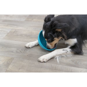 TRIXIE Lick'n'Snack Bowl miska do lizania dla psa ø 16 cm - niebieski