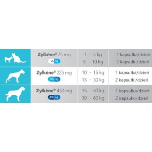 VETOQUINOL Zylkene - Na stres