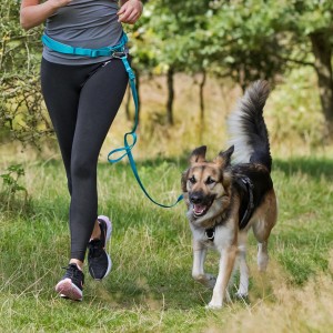 TRIXIE Pas biodrowy do biegania z psem czerwony