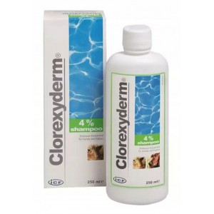 GEULINCX Szampon Clorexyderm 4% 250ml