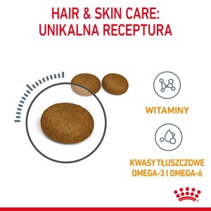 ROYAL CANIN Hair & Skin Care karma sucha dla kotów dorosłych, lśniąca sierść i zdrowa skóra