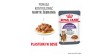 ROYAL CANIN Appetite Control Care karma mokra, plasterki w sosie, dla kotów dorosłych, uporczywie domagających się jedzenia 85g