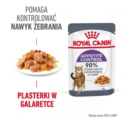 ROYAL CANIN Appetite Control Care karma mokra w galaretce dla kotów dorosłych, uporczywie domagających się jedzenia 85g