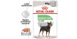 ROYAL CANIN CCN Digestive Care karma mokra - pasztet dla psów dorosłych o wrażliwym przewodzie pokarmowym 85g