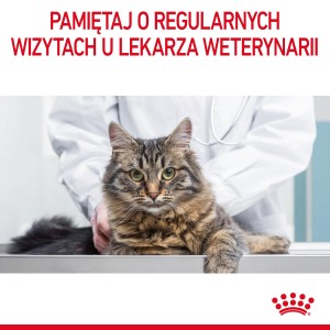 ROYAL CANIN Urinary Care karma mokra plasterki w sosie dla kotów dorosłych, wspierająca zdrowie dróg moczowych
