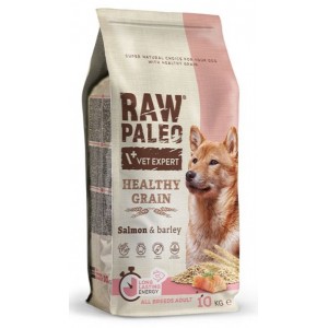 RAW PALEO Healthy Grain Salmon and Barley Adult