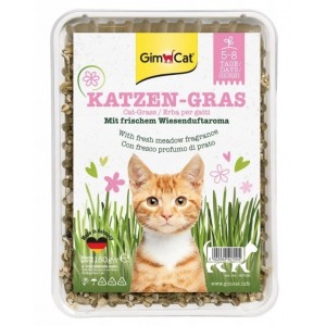 GIMCAT Katzen-Gras trawa dla kotów 150g
