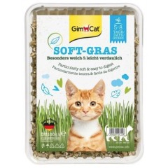 GIMCAT Soft Gras Miękka trawa dla kotów 100g