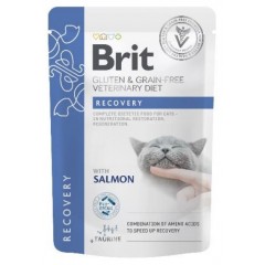 BRIT Veterinary Diets Cat Pouches Fillets in Gravy Recovery 85g