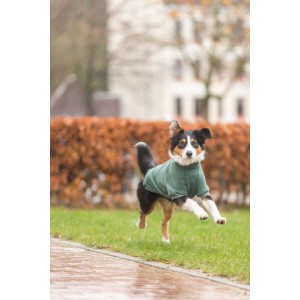 TRIXIE CityStyle Amsterdam bluza dla psa - ciemnozielony