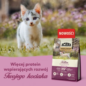 ACANA Cat Highest Protein Kitten 1,8kg