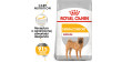 ROYAL CANIN CCN Medium Dermacomfort 12kg PROMO Uszkodzenie ubytek