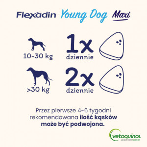 VETOQUINOL Flexadin Young Dog Maxi 60 kąsków