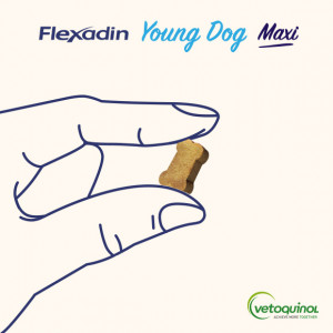 VETOQUINOL Flexadin Young Dog Maxi 60 kąsków