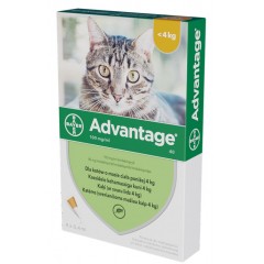 BAYER Advantage dla kotów poniżej 4kg (4 x 0,4ml)
