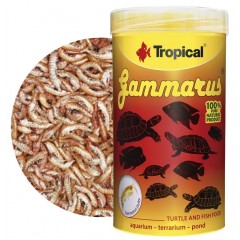 TROPICAL Gammarus - pokarm dla żółwi wodnych, lądowych i dużych gatunków ryb