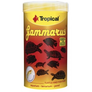 TROPICAL Gammarus - pokarm dla żółwi wodnych, lądowych i dużych