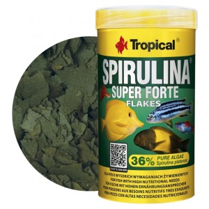 TROPICAL Super Spirulina Forte 36% - pokarm roślinny dla ryb