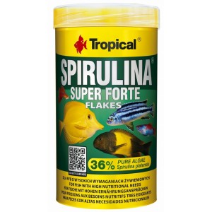 TROPICAL Super Spirulina Forte 36% - pokarm roślinny dla ryb