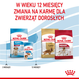 ROYAL CANIN Medium Puppy karma sucha dla szczeniąt ras średnich, od 2 do 12 miesiąca