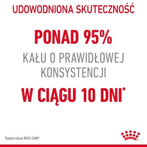 ROYAL CANIN Digestive Care karma sucha dla kotów dorosłych, wspomagająca przebieg trawienia