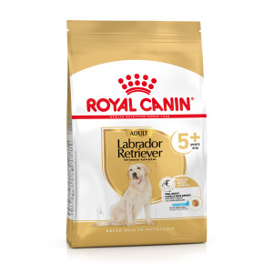 ROYAL CANIN Labrador Retriever 5+