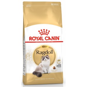 ROYAL CANIN Ragdol Adult karma sucha dla kotów dorosłych rasy ragdoll