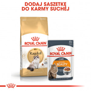 ROYAL CANIN Ragdol Adult karma sucha dla kotów dorosłych rasy ragdoll