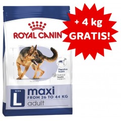 ROYAL CANIN Maxi Adult karma sucha dla psów dorosłych, ras dużych 15kg + 4kg GRATIS