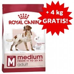 ROYAL CANIN Medium Adult karma sucha dla psów ras średnich 15kg + 4kg GRATIS