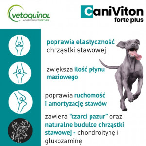 VETOQUINOL Caniviton forte plus